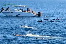 Dolphin House Speedboat Trip - Hurghada